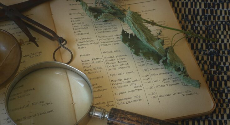 naturopathe animaux