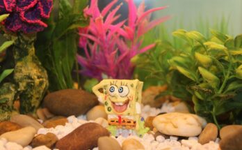 nouvel-aquarium